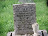 image of grave number 961001